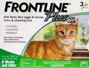 Frontline Feline